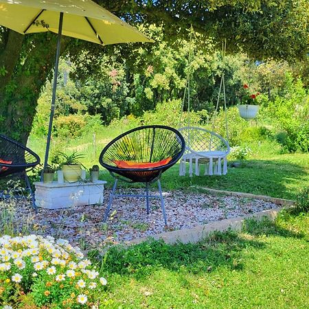 Agriturismo Podere Le Palaie Monterotondo  Dış mekan fotoğraf