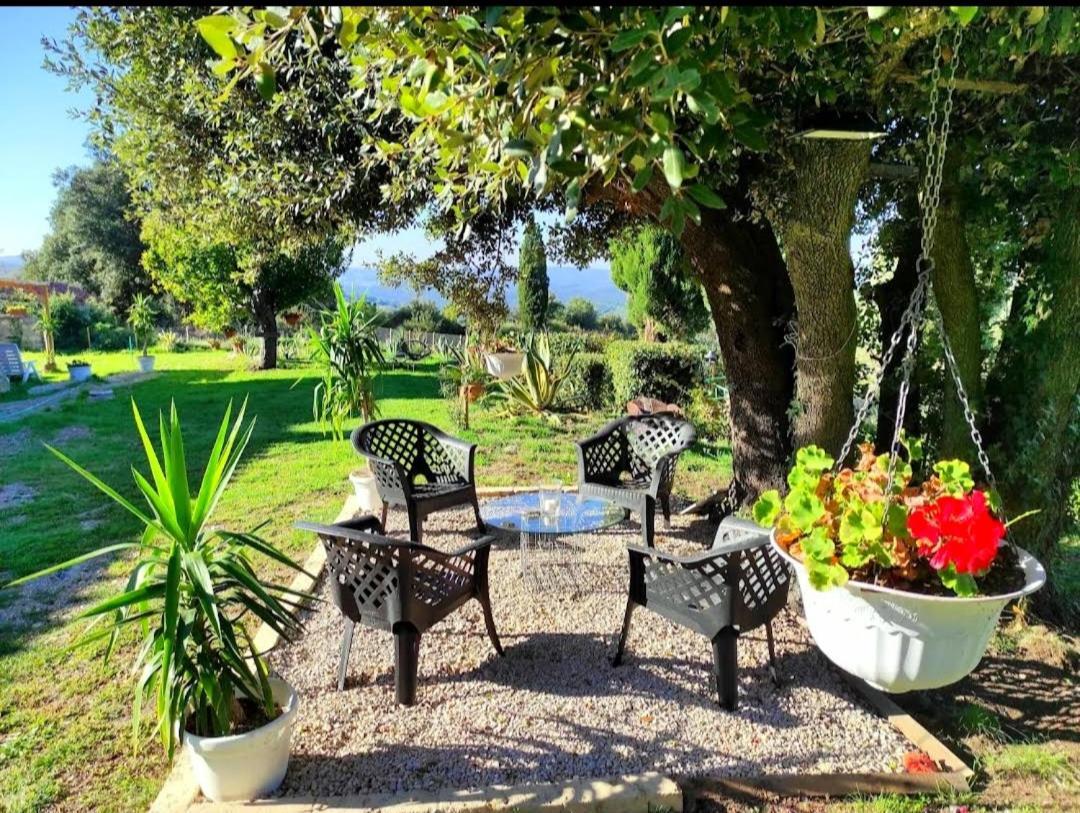 Agriturismo Podere Le Palaie Monterotondo  Dış mekan fotoğraf