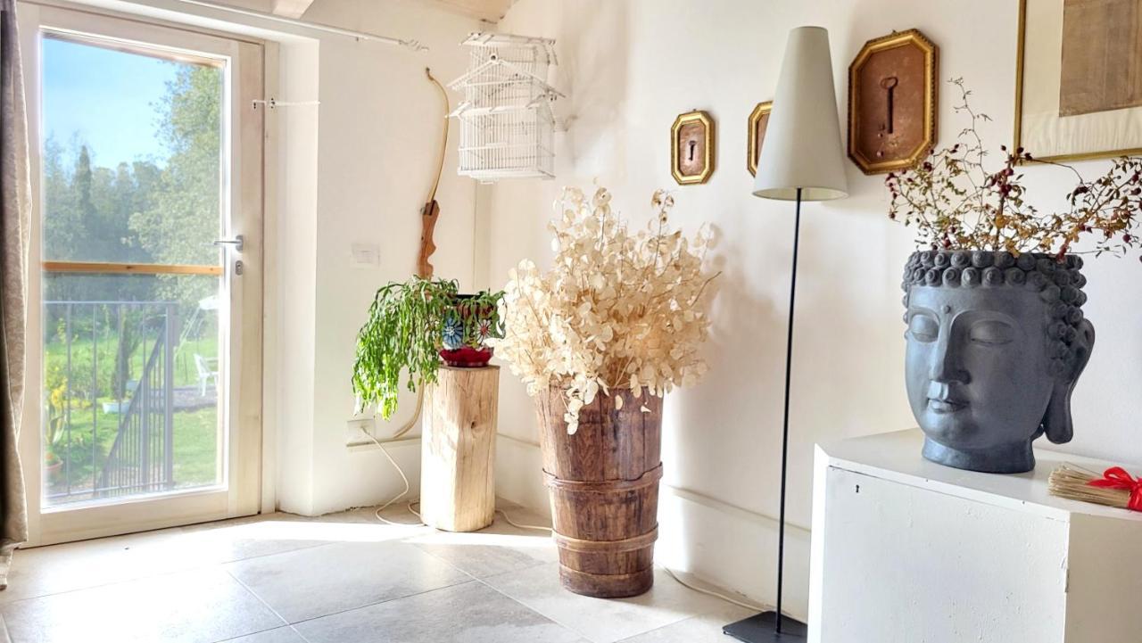 Agriturismo Podere Le Palaie Monterotondo  Oda fotoğraf