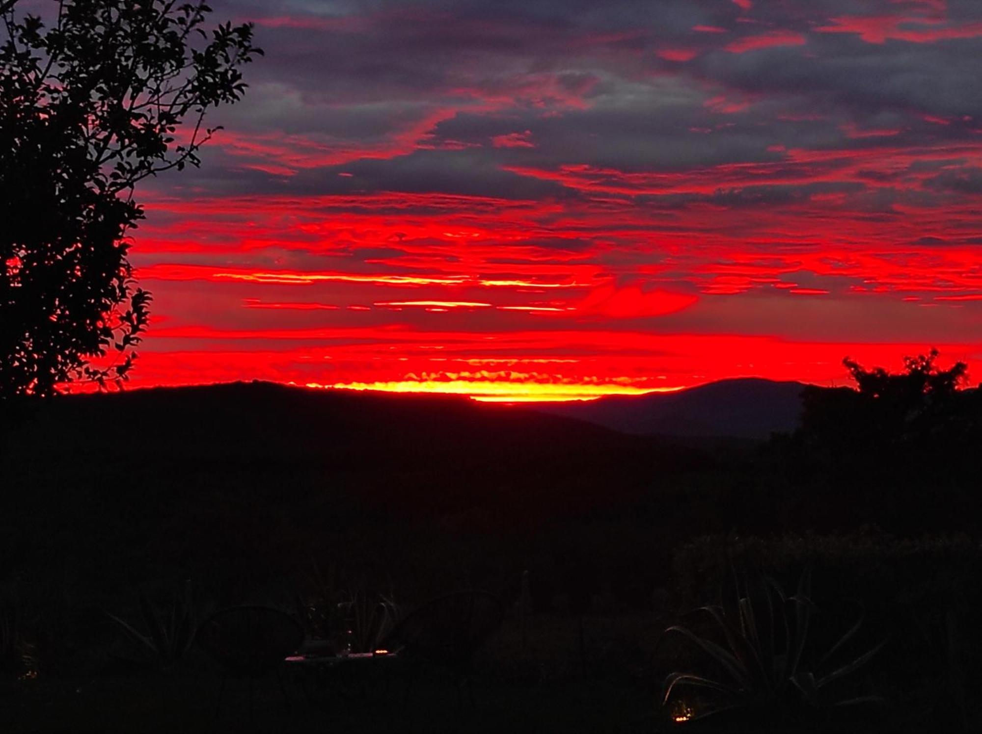 Agriturismo Podere Le Palaie Monterotondo  Oda fotoğraf