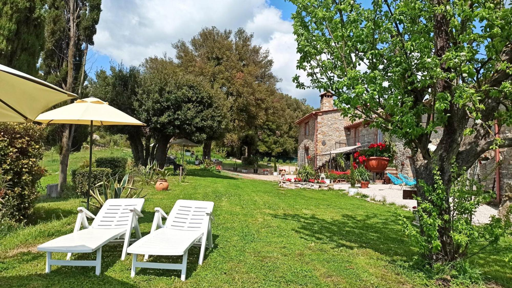 Agriturismo Podere Le Palaie Monterotondo  Oda fotoğraf